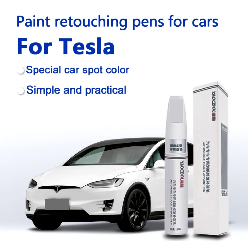 Model Kit Paint Remover - Tesla Model 3 Y X S