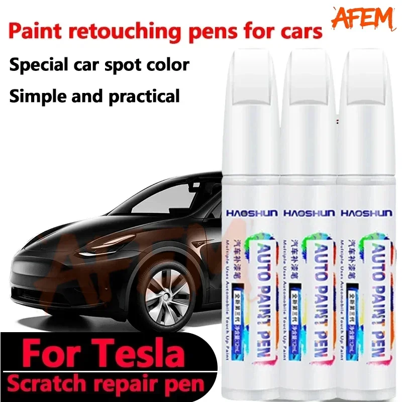 Model Kit Paint Remover - Tesla Model 3 Y X S